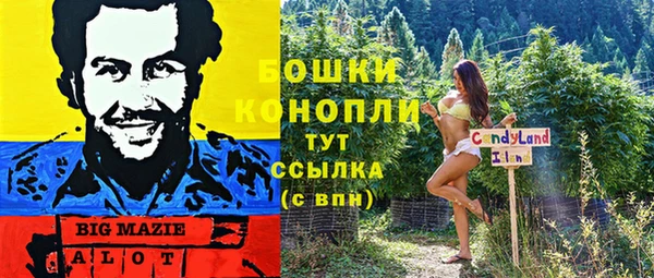 2c-b Бикин