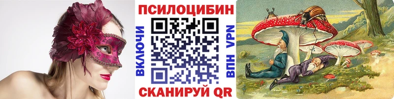 Купить закладки  Белокуриха  Псилоцибиновые грибы Psilocybe 